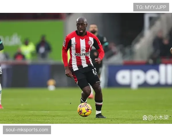 布伦特福德持续提升球队阵容竞争力的智慧转会策略分析